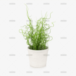 demo-attachment-41-Group-10171