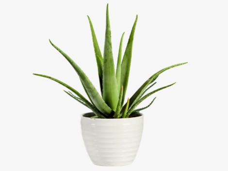 demo-attachment-46-Group-10176